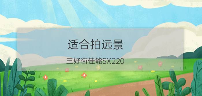 适合拍远景 三好街佳能SX220 HS相机热卖